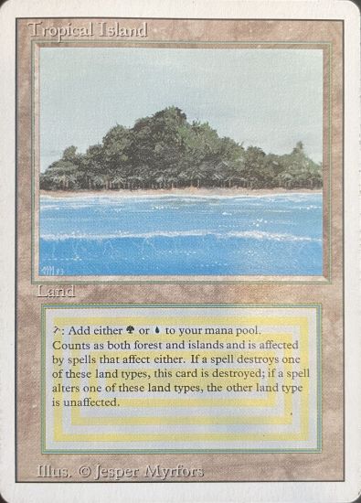 Picture of Tropical Island