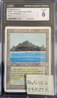 Picture of Tropical Island