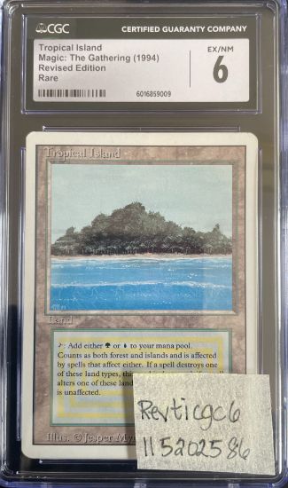 Picture of Tropical Island