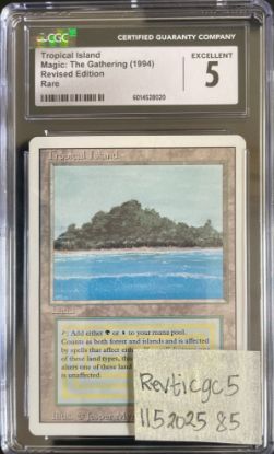 Picture of Tropical Island