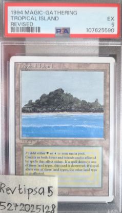 Picture of Tropical Island