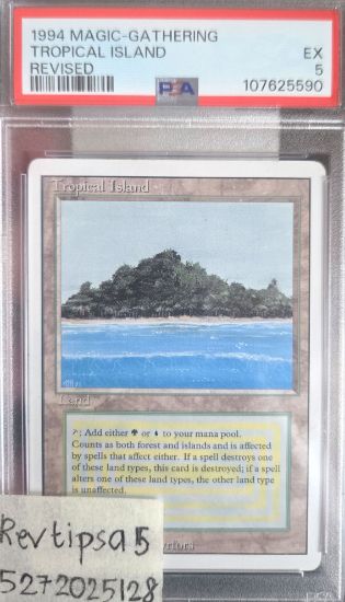 Picture of Tropical Island