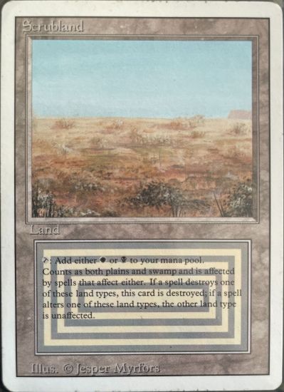 Picture of Scrubland