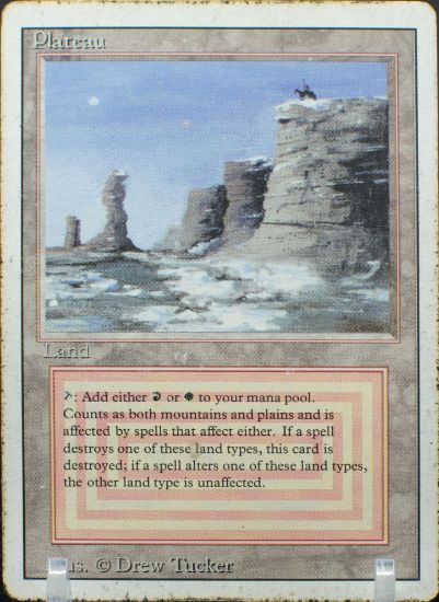 REVPLPO 21202540 FRONT