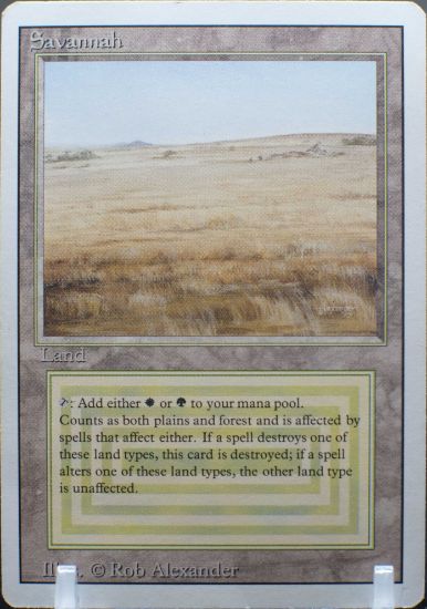 REVSANM- 1012025293 FRONT